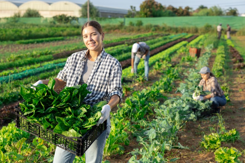 WWOOF ragazza in un campo coltivato